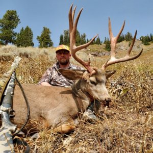 Big Buck for hornkiller