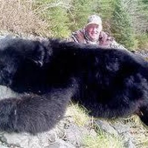 Good Lookin' Black Bear