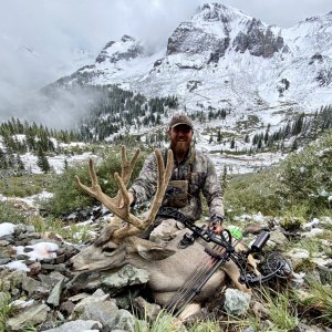 High Country Archery Buck