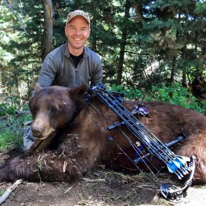 Great Looking Utah Archery Bear