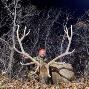 Colorado Unit 40 Bull Elk with Allout Guiding