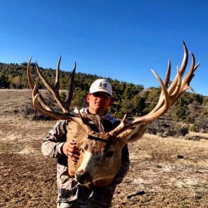 Mega Buck and the Sheds for utehunter