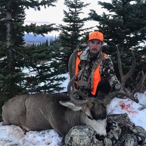 Dark-Antlered Trophy Muley for The_Coloradoboy