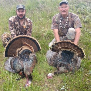 Wine Country Gobblers