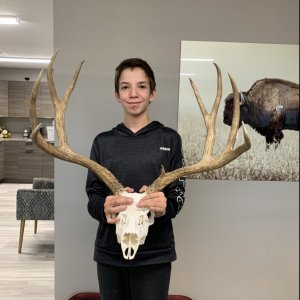 How big is this buck?