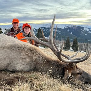 First Season Elk Success