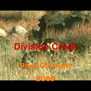 Division Buck and Doe.mp4