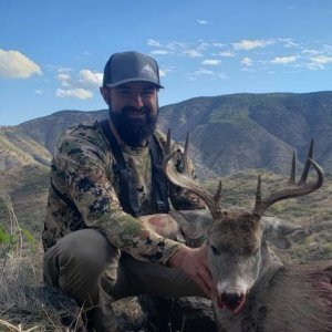 Coues Buck Mexico 2.jpeg
