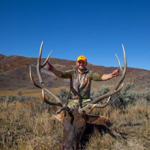 Elk Hunts in Colorado.jpg