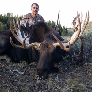 Awesome Bull Moose for 30Hart