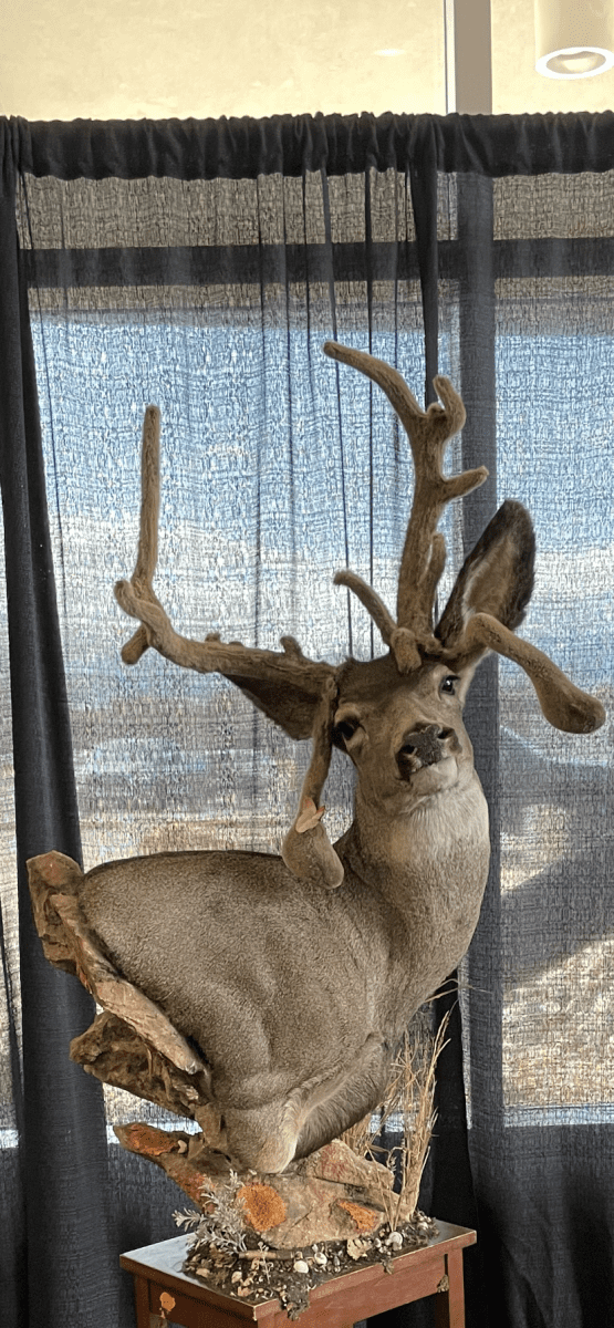 This Buck has Character!