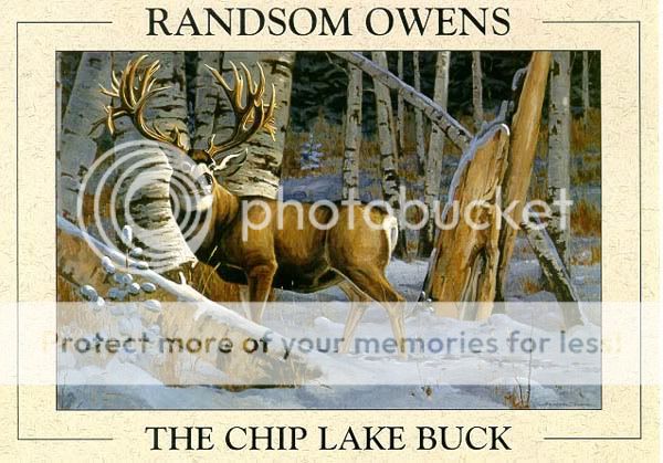 The_Chip_Lake_Buck.jpg