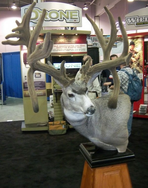 7650cody-robbins-mule-deer-world-record-nontypical.jpg