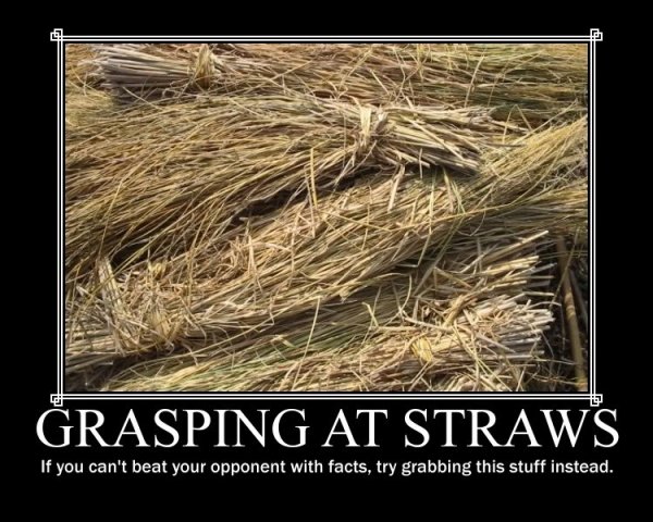 2131grasping-at-straws1.jpg