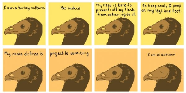 9406turkey-vultures-are-awesome.jpg