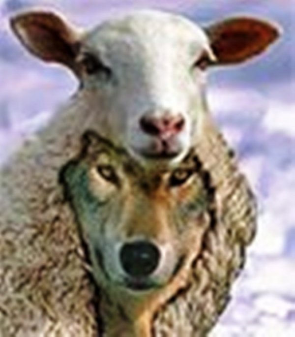 9636wolf_in_sheep.jpg