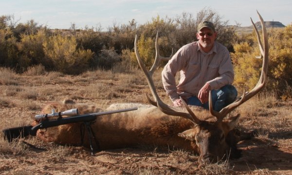 Wyoming area 100 Elk | Elk | Monster Muleys Community