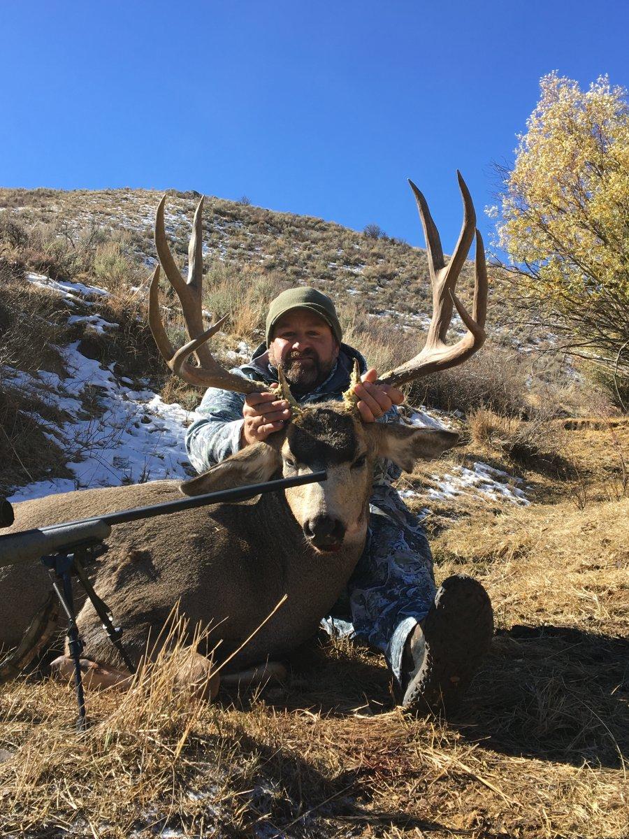 Nevada Unit 7 Deer | Mule Deer | Monster Muleys Community