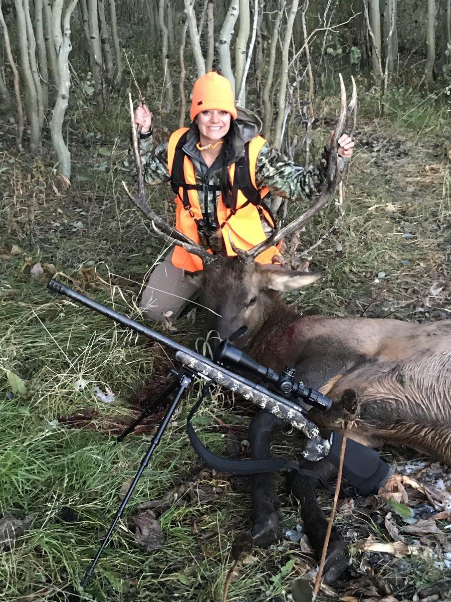 First Bull For The Wife General Hunting