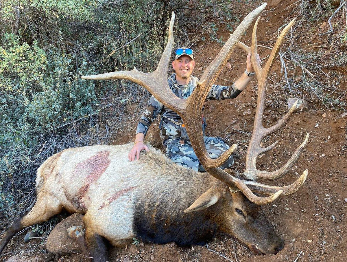 Arizona Elk.jpg