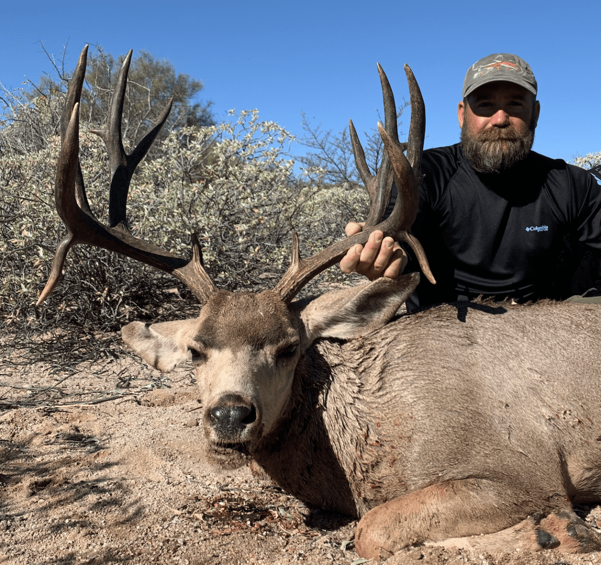 Just some Mule Deer pictures from this last season | Mexico | Monster ...