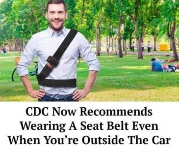cdc seat belts.jpg