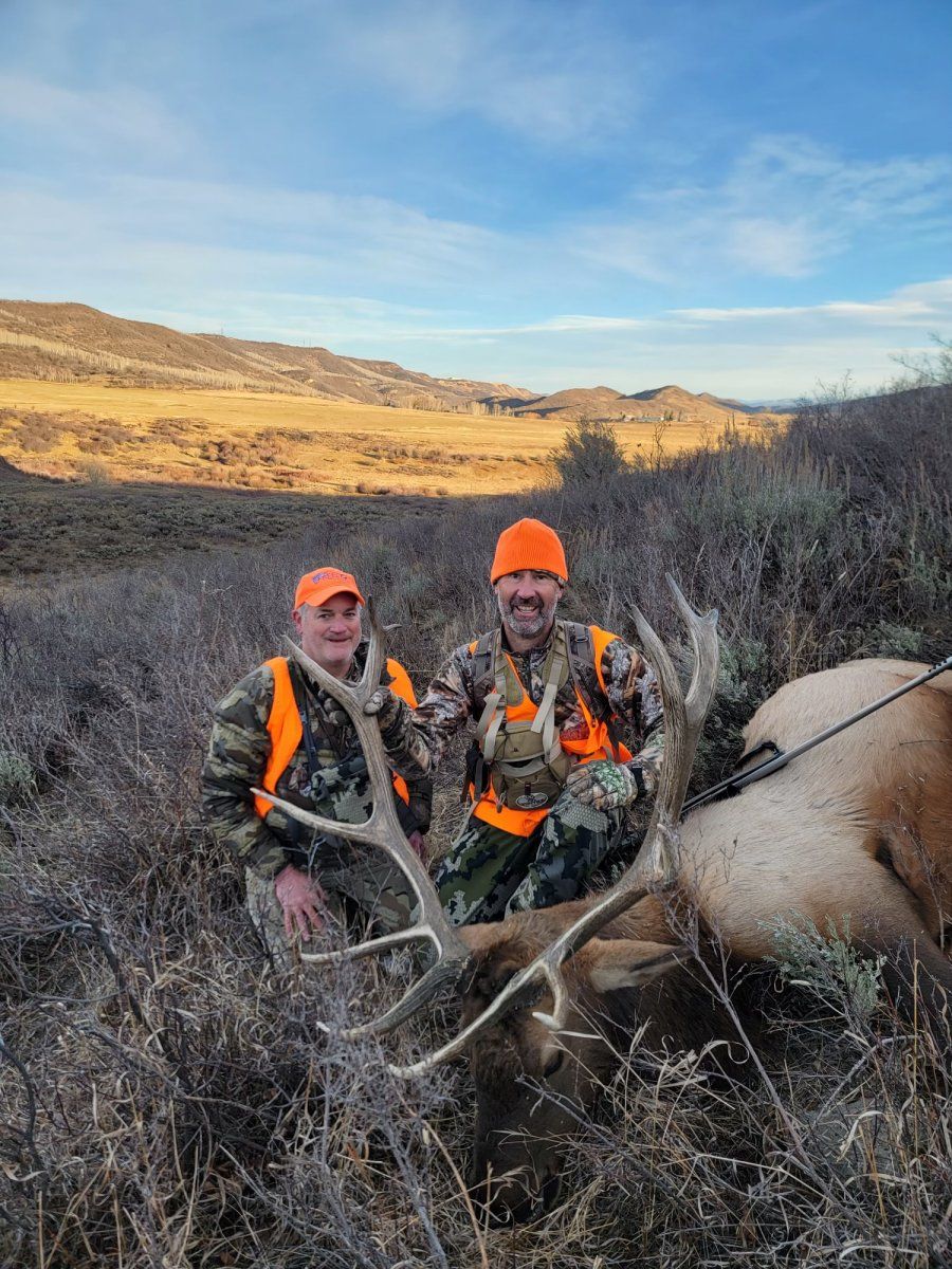 Colorado Bull Elk.jpg