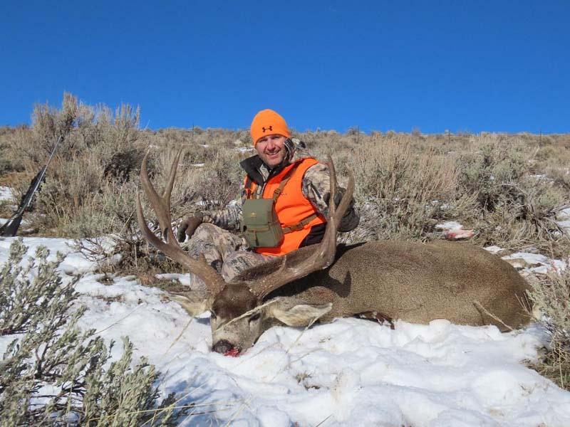 Colorado Mule Deer Buck.jpg
