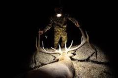 Top States for Elk Hunting: Data-Driven Insights & Tips | onX ...