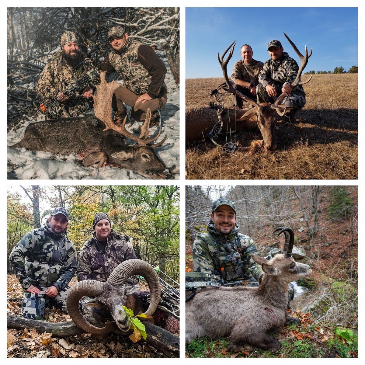 fallow bow hunt 2-COLLAGE.jpg