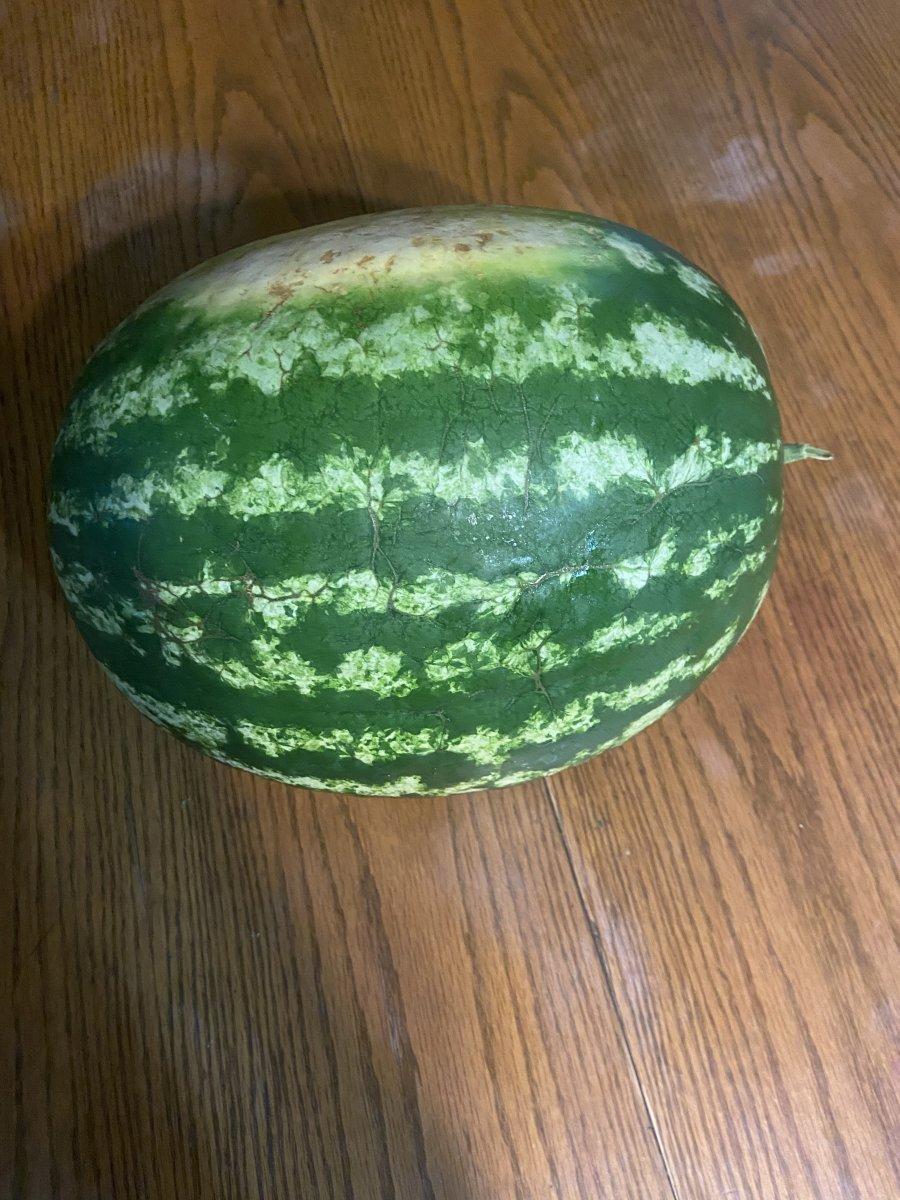 Melon.jpg