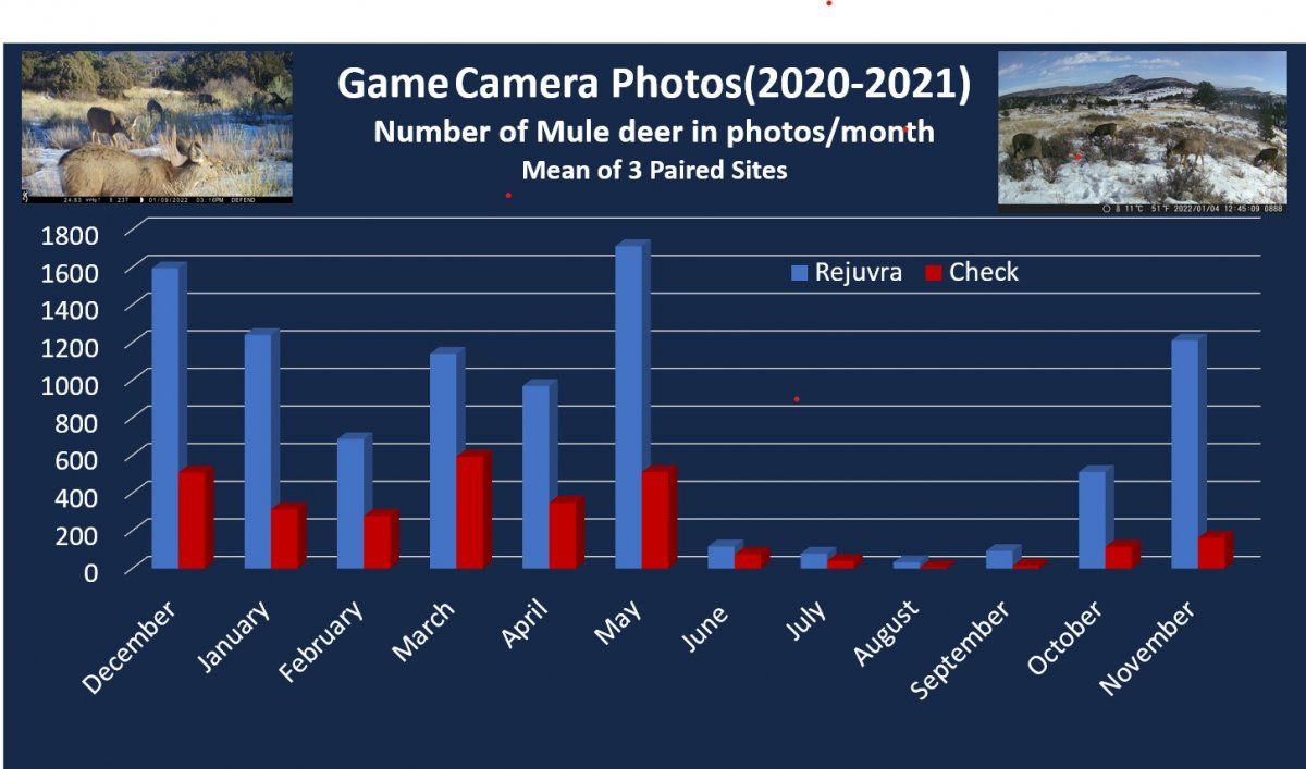 mule deer preference.jpeg
