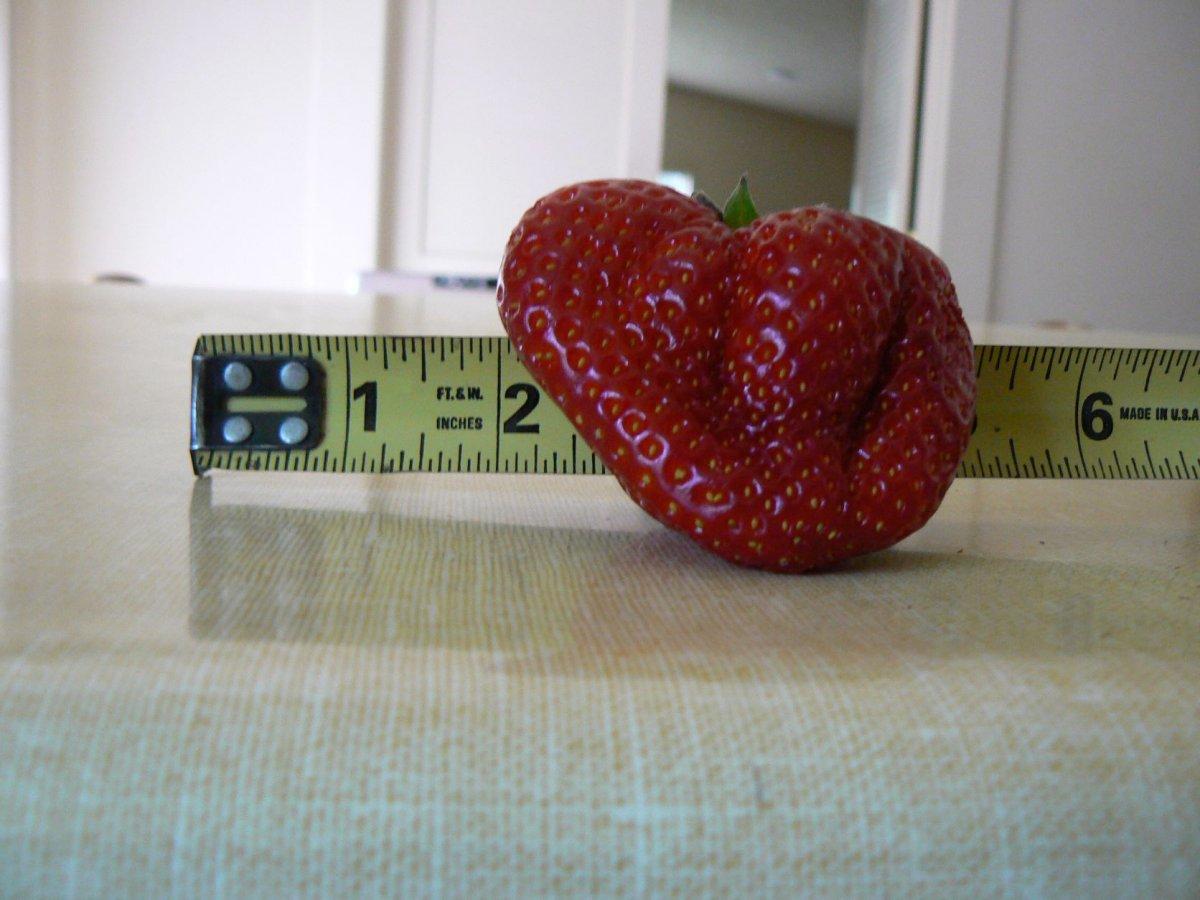 strawberry2.JPG