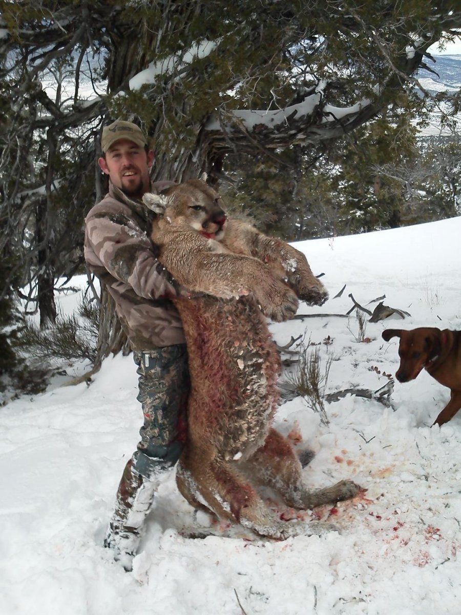 Timberline Outfitters Cougar Hunt.jpg
