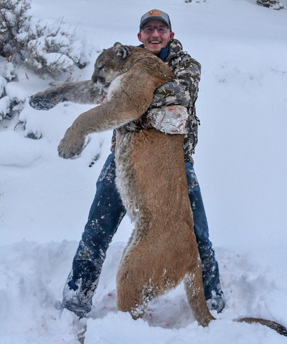 Timberline Outfitters Cougar Hunts.jpg