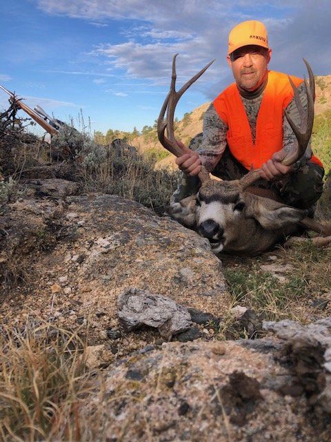Wyoming deer.jpg