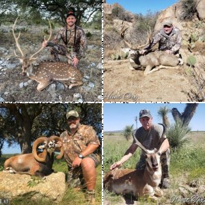 West Texas Hunting Organization