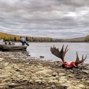 Fun Moose Hunting Adventures