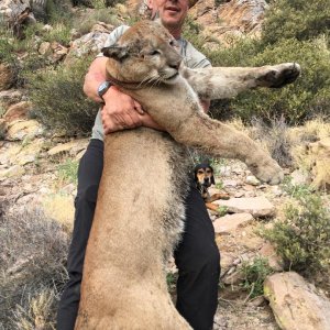 Cougar Dieringer Outfitters Arizona