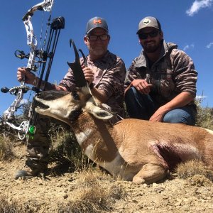 Antelope Hunt 2019