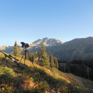 Hunting the Colorado High Country