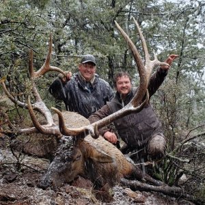Dad's Elk Success