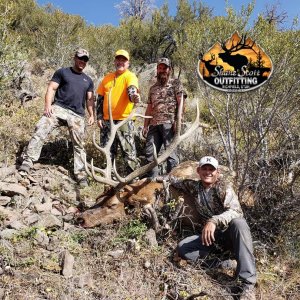 Bull Elk Hunting Success.jpg