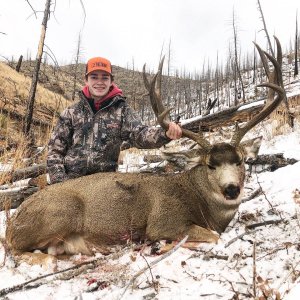 Happy Youngster with Dandy Buck