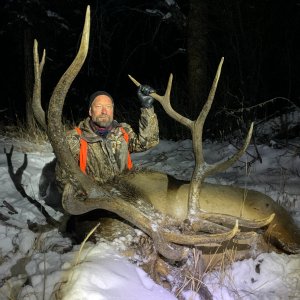 Big Bull Elk for Utahlefty