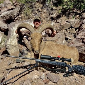 Ultimate Sheep Hunting Gun