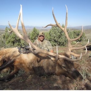 Arizona Archery Mega Bull Elk