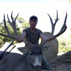 New Mexico Monster Muley