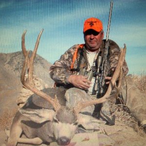 Henry Mountains Management Buck