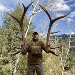 Huge Set of Elk Antlers
